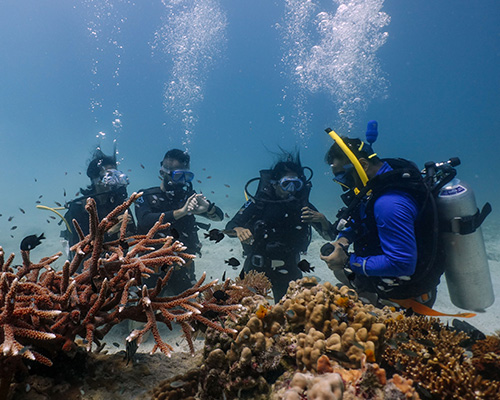 PADI Specialty course